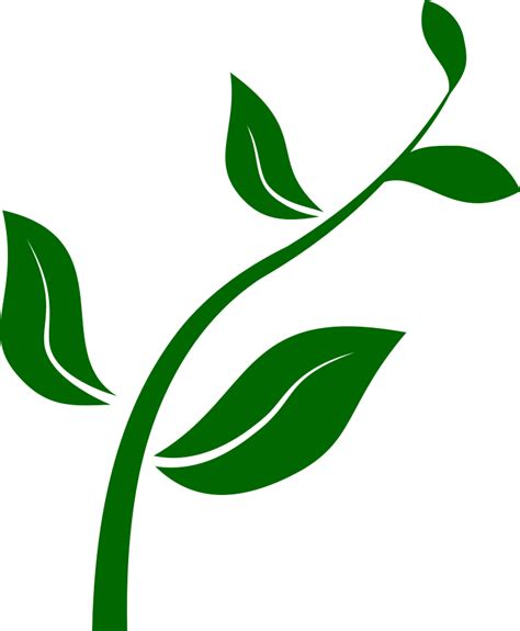 The green stem clipart - Clipground