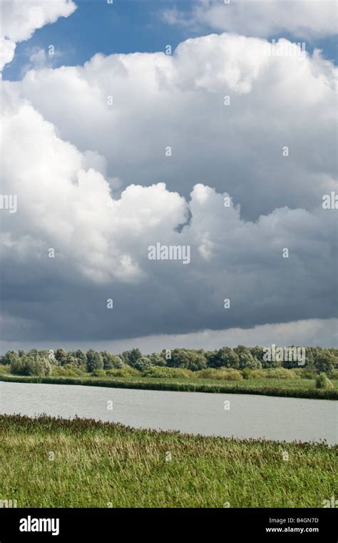 Flevoland nature reserve Stock Photo - Alamy