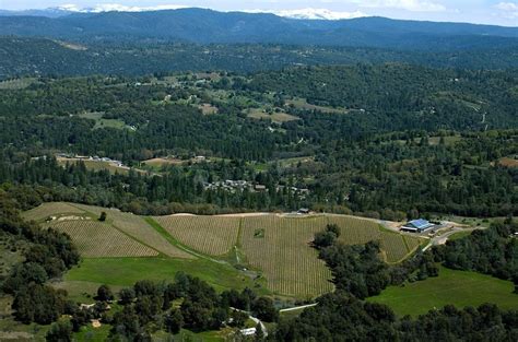 El Dorado County, California, for wine lovers - Decanter