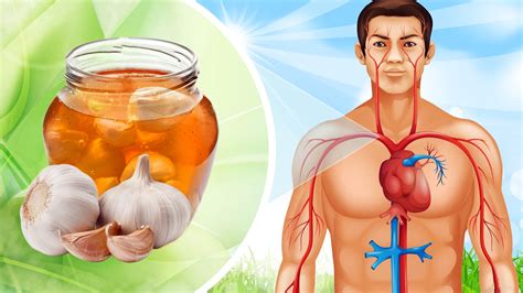 The REAL Health Benefits of Garlic and Honey - YouTube