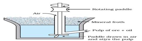 Froth Flotation process | Download Scientific Diagram