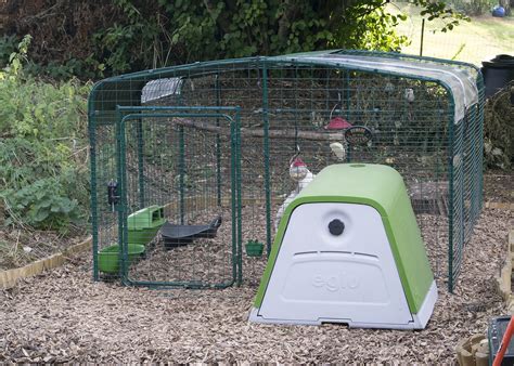 Walk in Chicken Run | Large Outdoor Chicken Enclosure