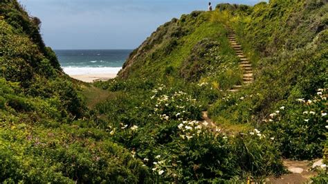 12 Best Monterey Beaches: Things to Do and Where to Stay ...