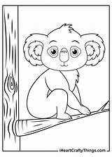 Koala Coloring Page Printable For Kids Pages sketch template