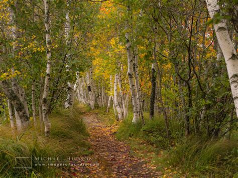 The 2019 Images of Acadia Photography Workshop — Images of Acadia Fine Art Photography