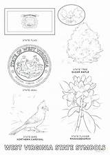 American Symbols Coloring Pages sketch template