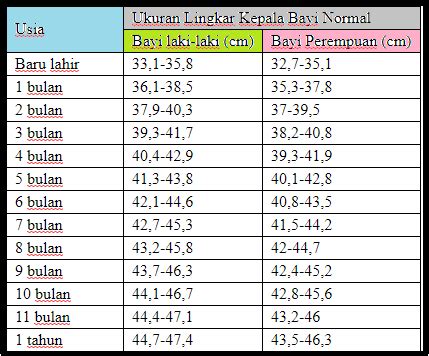 Ukuran Lingkar Kepala Bayi Normal, Laki-Laki Dan Perempuan