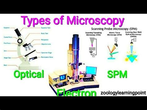 Microscopy Types