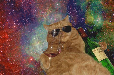 34 Cats Who Know It's Better In Space | スペースキャット, 子猫, キャットアート