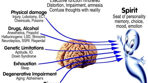 Nicotine Effects On Brain - Effect Choices