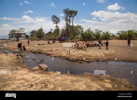 Africa, village, semi desert, domestic animals, houses, homes, children ...