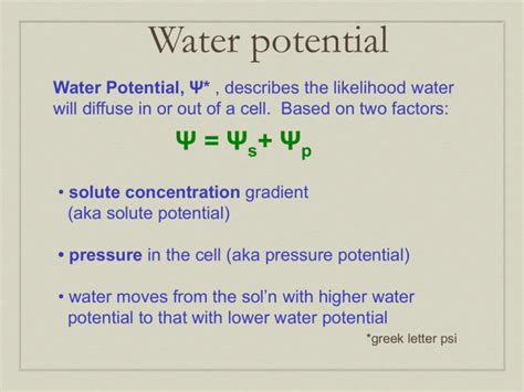 Water potential