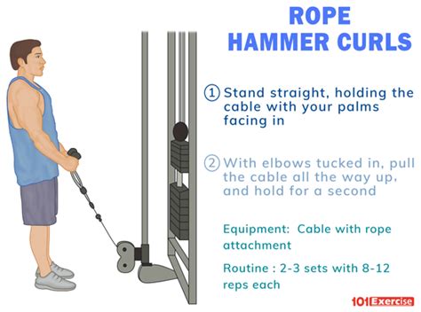 Rope Hammer Curls | 101Exercise.com