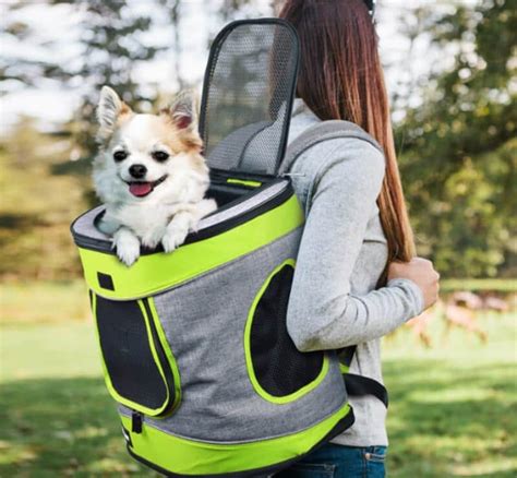 Top 34 Best Dog Backpack For Hiking 2022 - My Trail Co