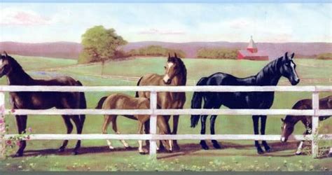 Childrens Horse Wallpaper Border