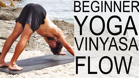 Beginner Vinyasa Flow Yoga With Tim Senesi | Vinyasa flow, Yoga for beginners, Vinyasa flow yoga