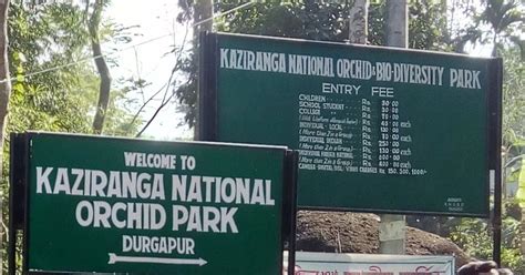 Kaziranga National Park is one of the most visited national parks in ...