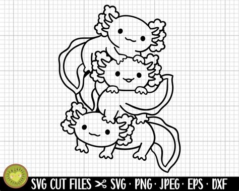 Axolotl Svg Axolotl Png Axolotl Clipart Commercial Use Etsy | The Best Porn Website