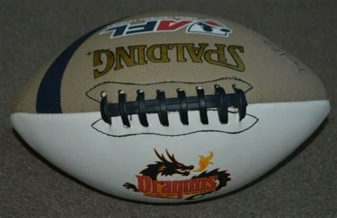 New York Dragons AFL Arena Football League Spalding White Panel Full Size | eBay