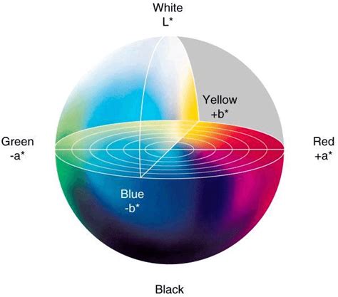 The L*a*b* colour wheel. Image is from... | Download Scientific Diagram