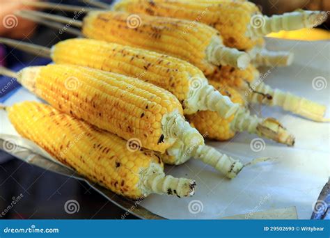 Thailand Corn Parch for Eat Stock Photo - Image of ripe, corncob: 29502690