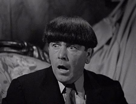 Three Stooges Moe Larry Curly GIF - Three stooges Moe larry curly Moe - Discover & Share GIFs