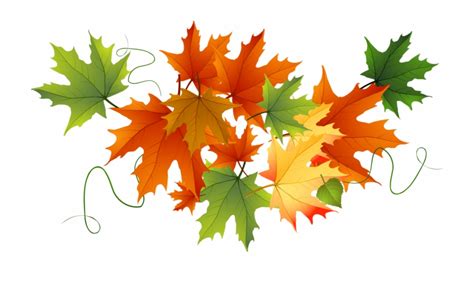 pile of fall leaves clip art 10 free Cliparts | Download images on Clipground 2024