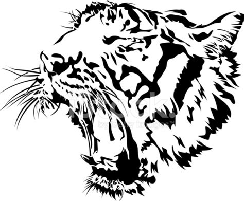 Tiger Head Silhouette. Stock Photo | Royalty-Free | FreeImages