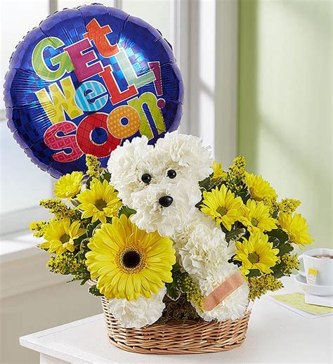 Sick As a Dog™ | 1800Flowers.com - 159226