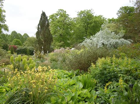 Savill Garden Windsor Visit | The Surrey Edit