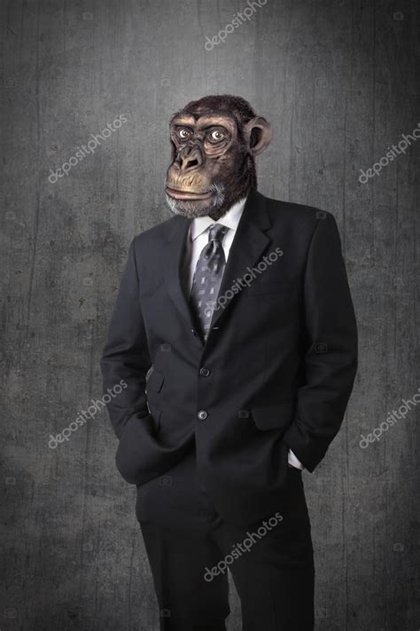 Monkey businessman Stock Photo by ©beawolf 52552245