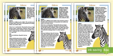 Zebra Facts for Kids - Twinkl Homework Help - Twinkl