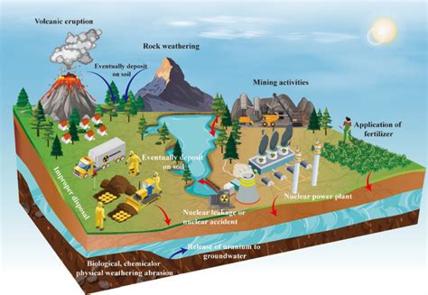 生物炭介导的铀污染土壤修复：证据、机制和观点,Biochar - X-MOL