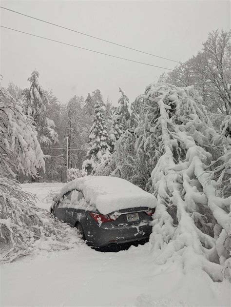 PICS: Images from the 2023 nor'easter snowstorm