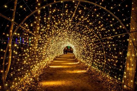 Why Longwood Gardens at Christmas is Pure Magic - Guide to Philly