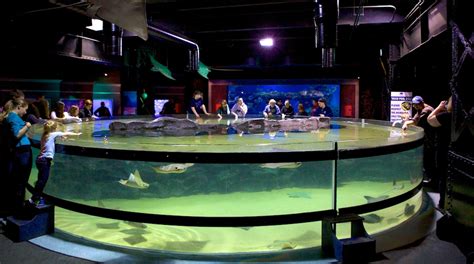 Greater Cleveland Aquarium - Ohio City Attraction | Expedia.com.au