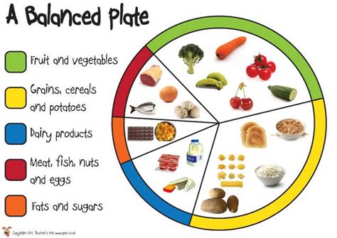 7 best BALANCED DIET POSTERS images on Pinterest | Healthy eating, Healthy balanced diet and ...