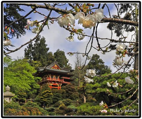 Japanese Tea Garden. | Mike | Flickr