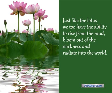 Lotus Flower Meaning and Symbolism Quotes with Graphics – Ann Silvers, MA