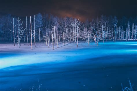 Furano & Biei Blue Pond (Winter Tour) – Travel Hokkaido