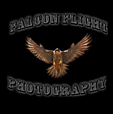 Falcon Flight Photography