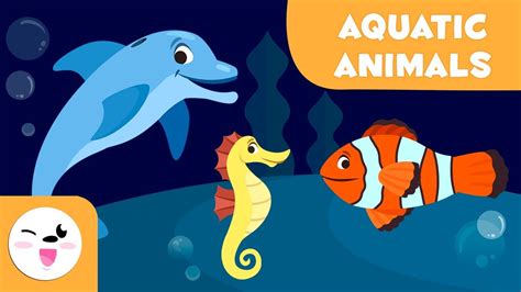 40 Popular Water animals name video with Creative design | Wallpaper Epic 2022