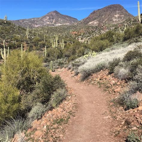 a dirt path in the desert with cactus and cacti on both sides, surrounded by mountains