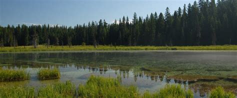 Clackamas Lake Campground - 3 Photos - Clackamas County, OR