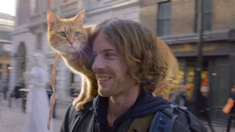 First trailer for A Street Cat Named Bob released – starring the ...