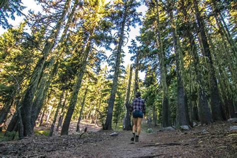 37 of The Best Oregon Hikes You've Got to Check Out