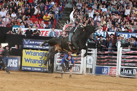 bull, Riding, Bullrider, Rodeo, Western, Cowboy, Extreme, Cow, 19 , Jpg Wallpapers HD / Desktop ...