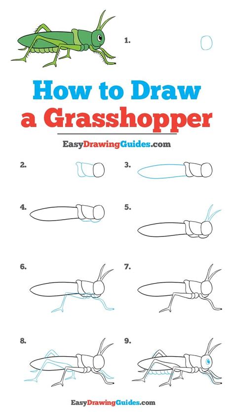 How to Draw a Grasshopper - Really Easy Drawing Tutorial | Easy drawings, Drawing tutorial easy ...