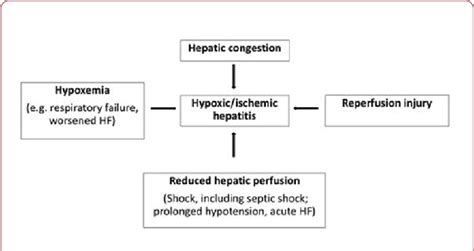 Figure 1 from Ischemic Hepatitis - Intercorrelated Pathology. | Semantic Scholar