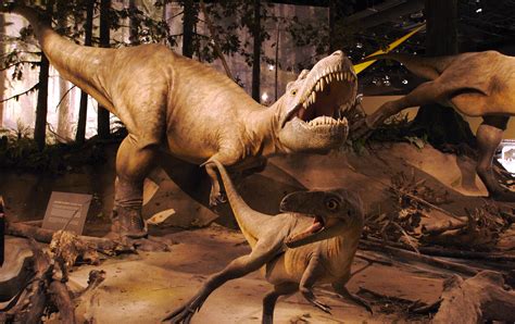 10 Facts About Albertosaurus